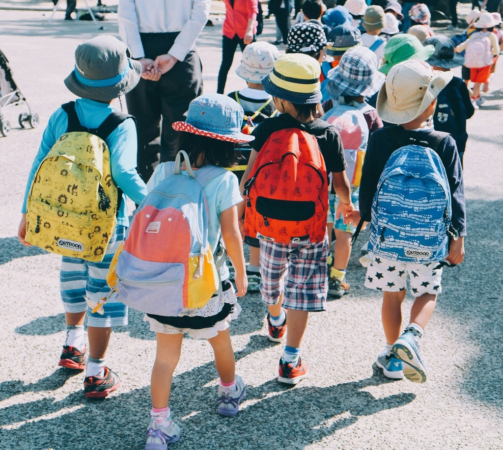 HPE Primary Teacher Single Year Plan